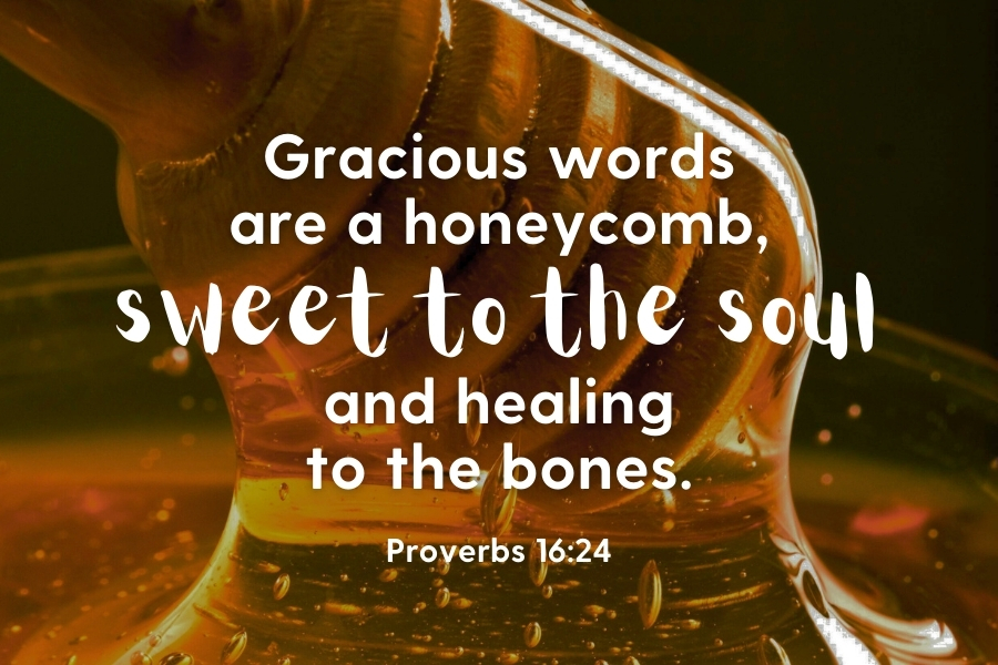 Proverbs 16:24